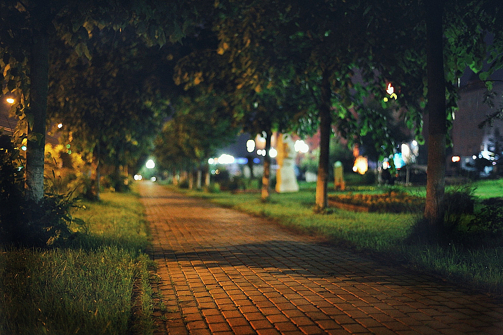 Ночь Вело Дмитров-170714_020317