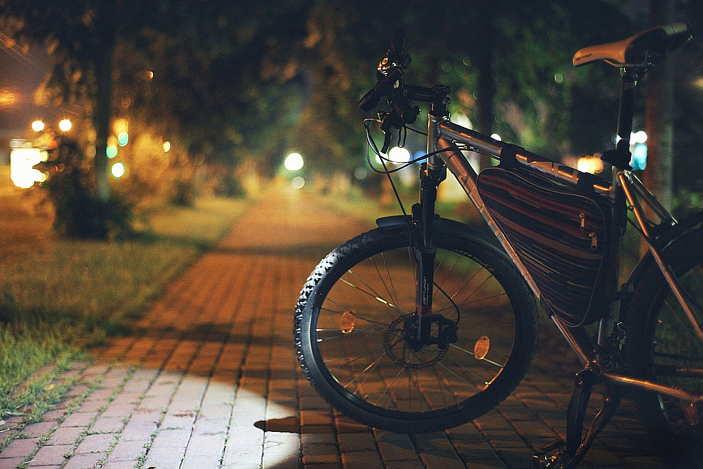 Ночь Вело Дмитров-170714_020409