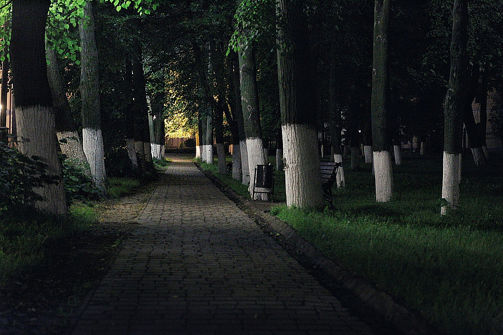 Ночь Вело Дмитров-170714_021834