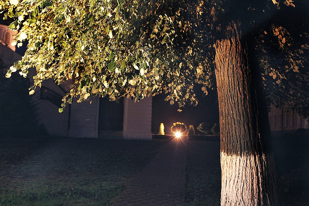 Ночь Вело Дмитров-170714_022350