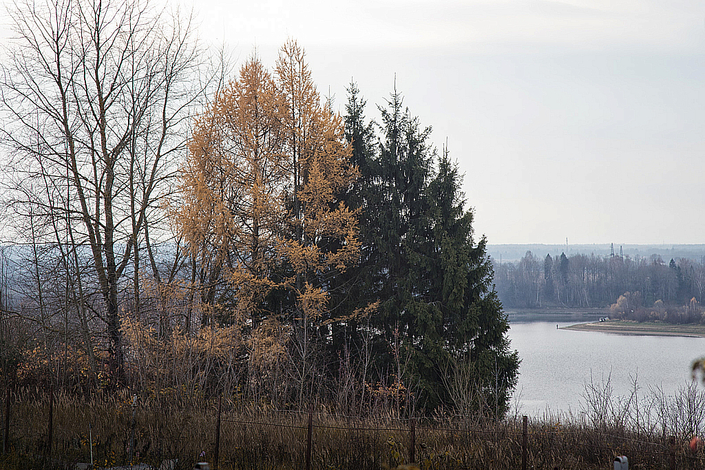 Осенний Дмитров-191020_115902