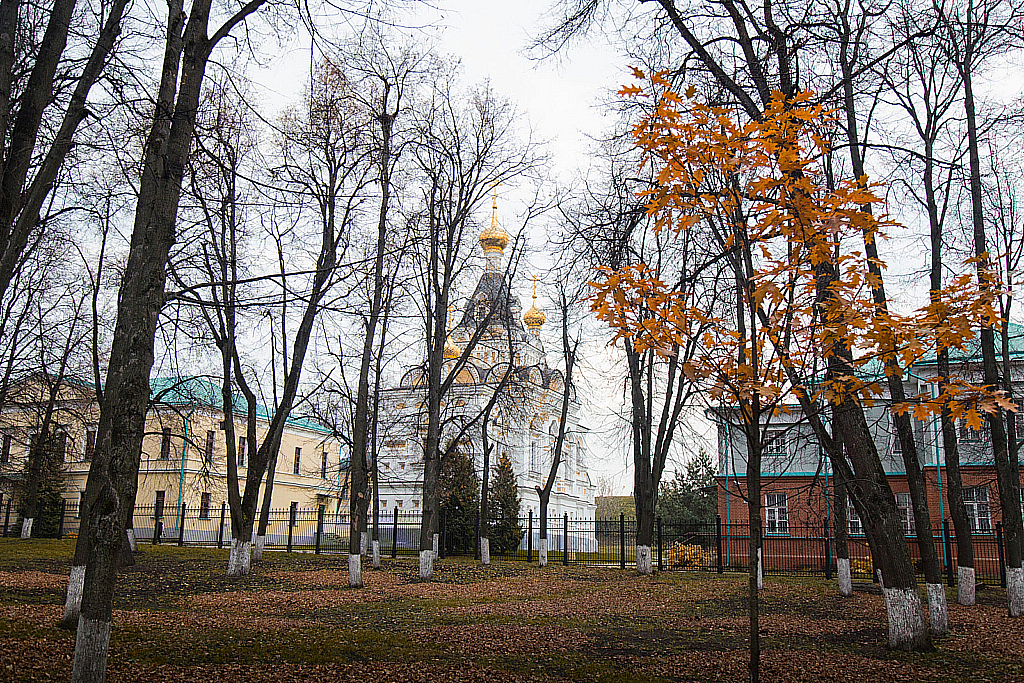 Осенний Дмитров-191020_150258