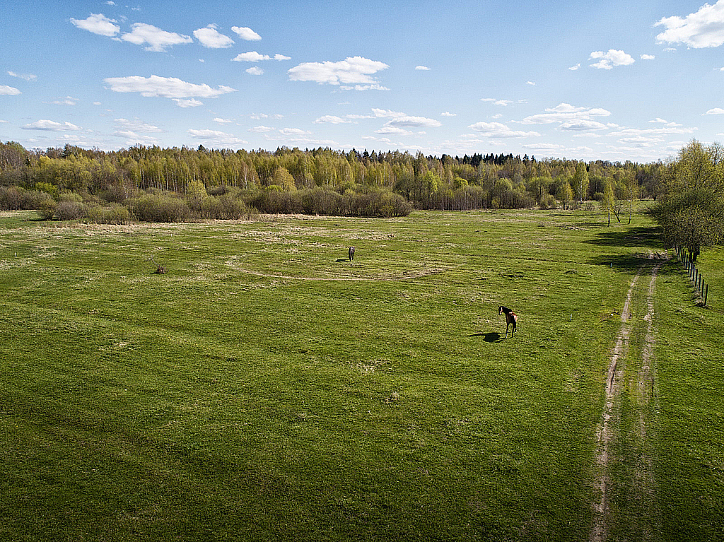Пешношский монастырь с дрона-190504_150121