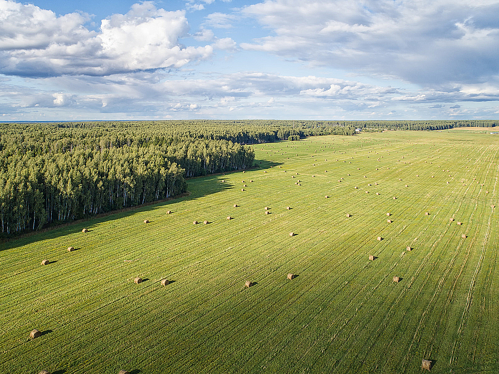 Поездка в НН — Боголюбово и Владимир-180822_170047