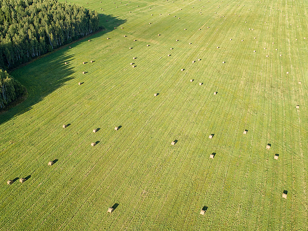 Поездка в НН — Боголюбово и Владимир-180822_170231