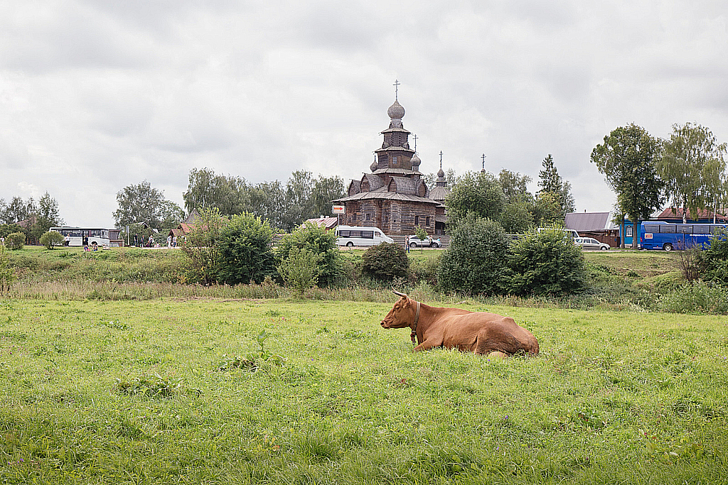 Поездка в НН — Суздаль-180820_113128