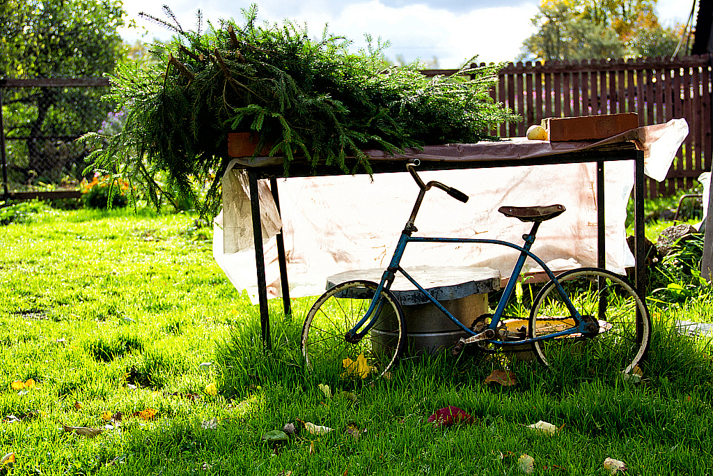 Руза — Пашин ДР 2012-120929_113839