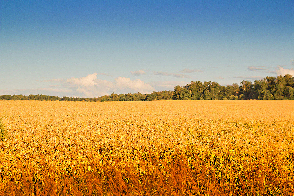 Рыбалка 2012-120721_204520