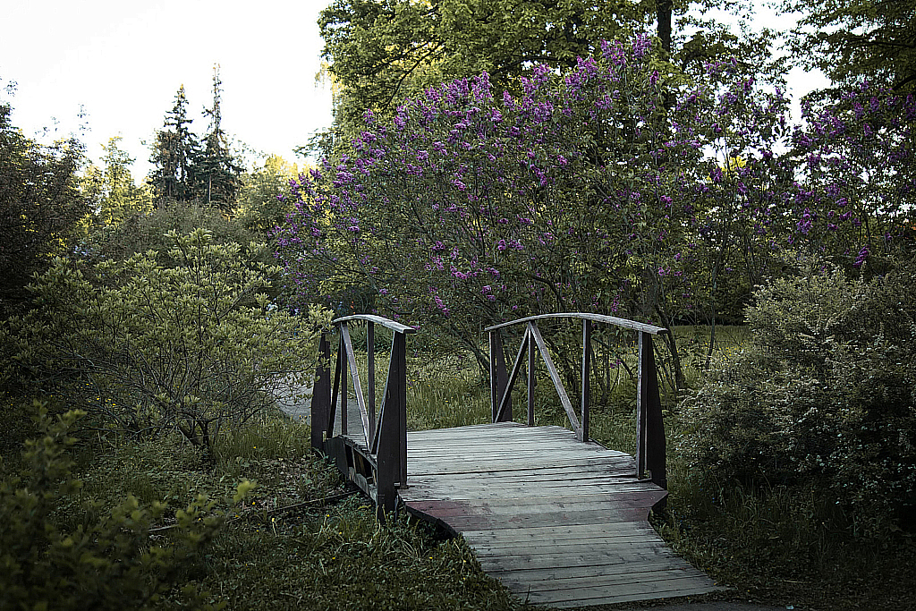 Сиреневый сад-190517_193730