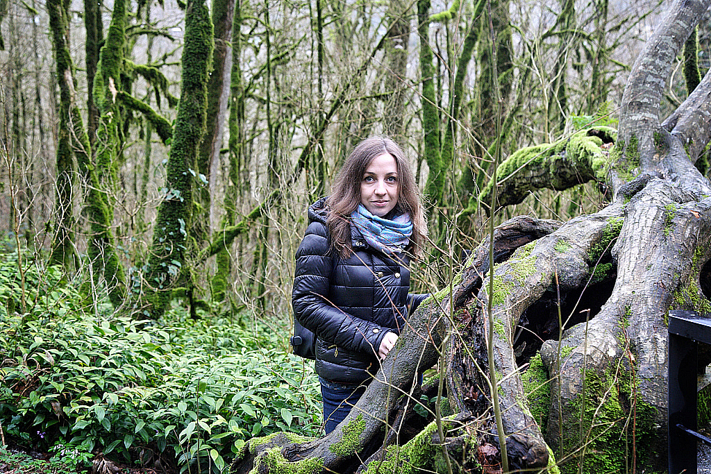 Сочи Тисо-самшитовая роща-180305_093255