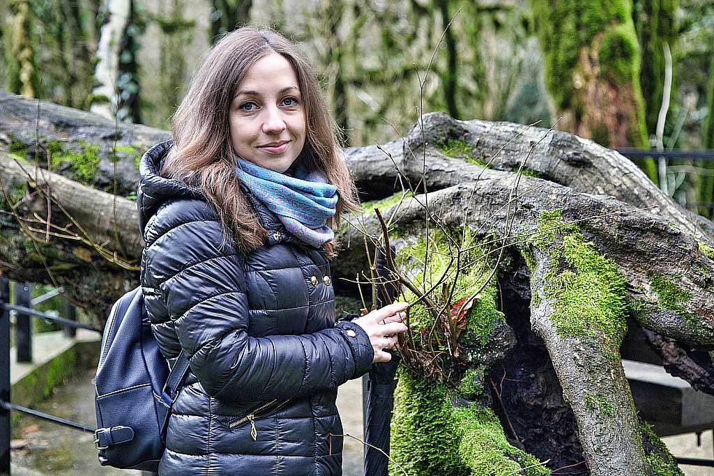 Сочи Тисо-самшитовая роща-180305_093327