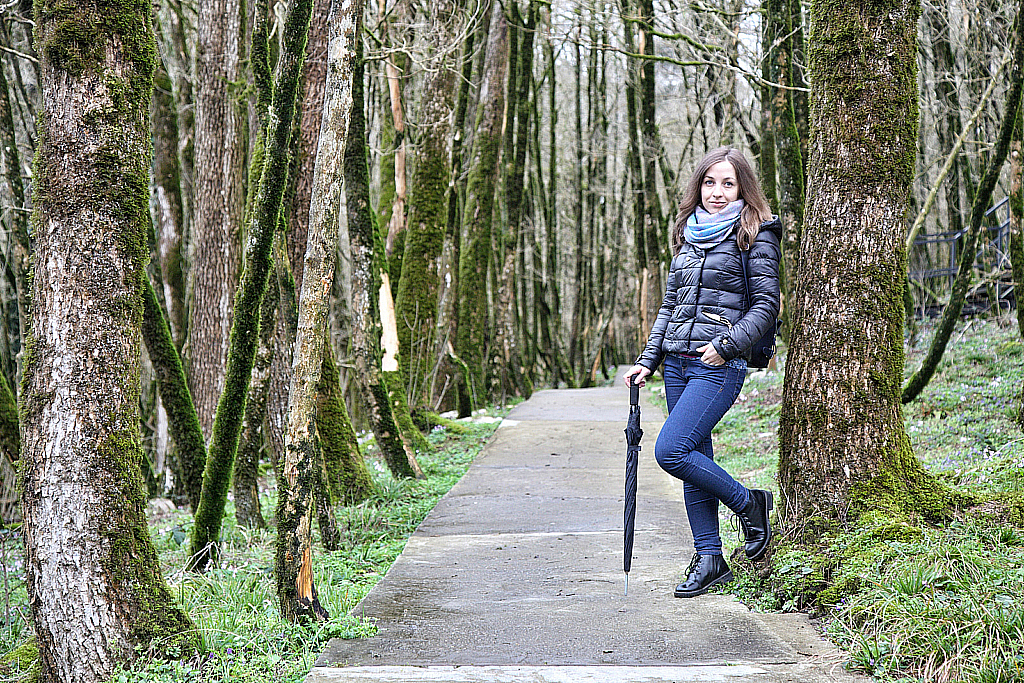 Сочи Тисо-самшитовая роща-180305_100553