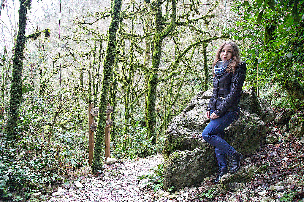 Сочи Тисо-самшитовая роща-180305_103125