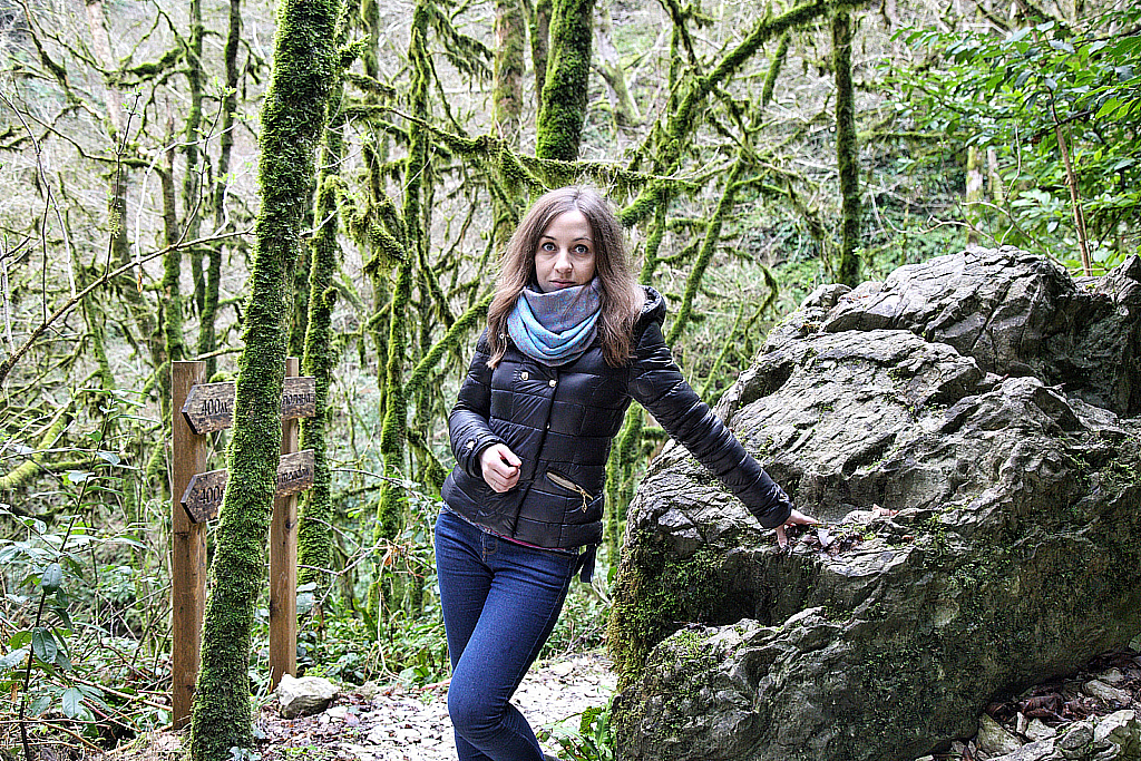 Сочи Тисо-самшитовая роща-180305_103137