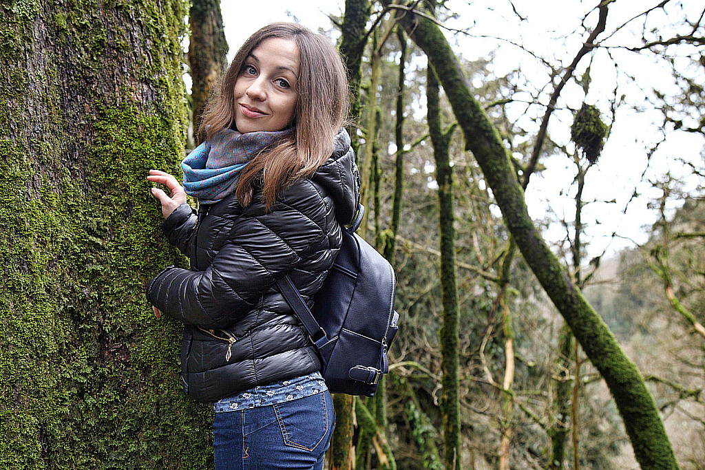 Сочи Тисо-самшитовая роща-180305_105126