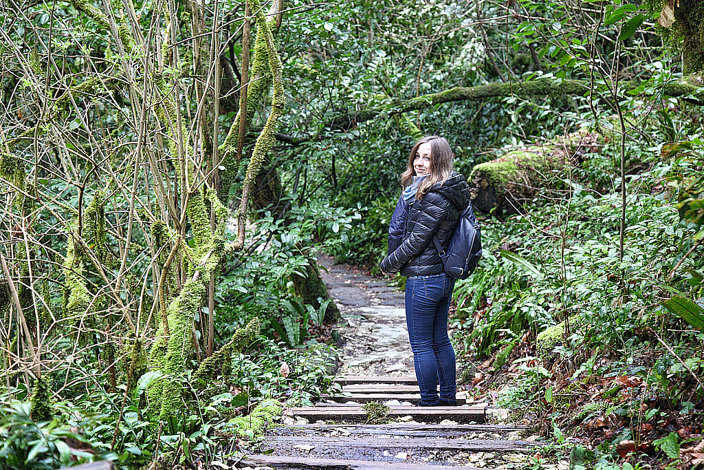 Сочи Тисо-самшитовая роща-180305_111931