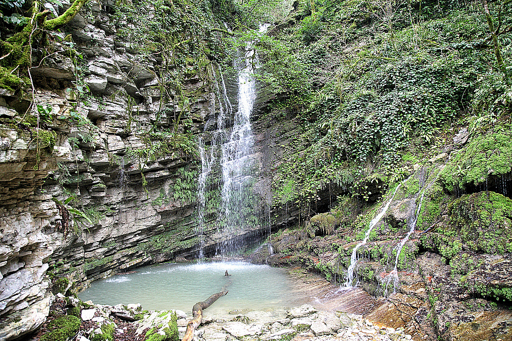 Сочи Тисо-самшитовая роща-180305_112625