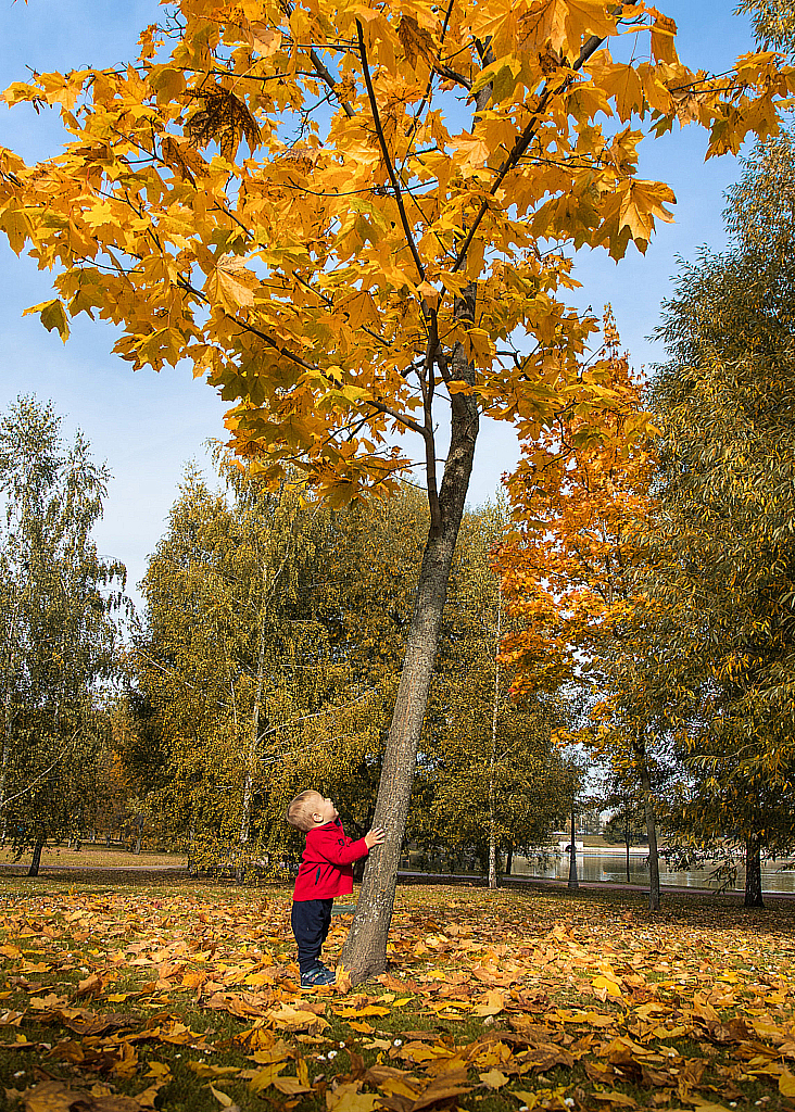 Царицыно 2020-201003_134358