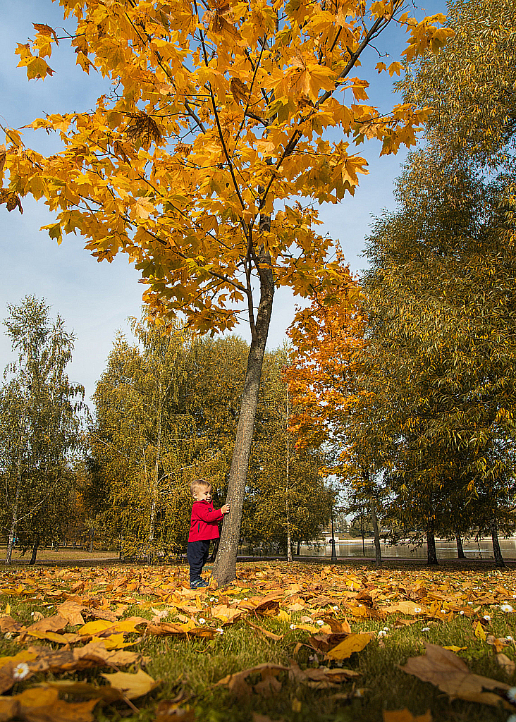 Царицыно 2020-201003_134405