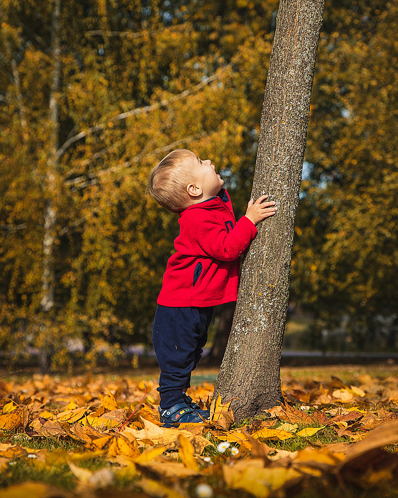 Царицыно 2020-201003_134411