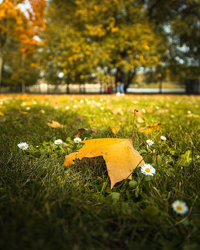 Царицыно 2020-201003_134639