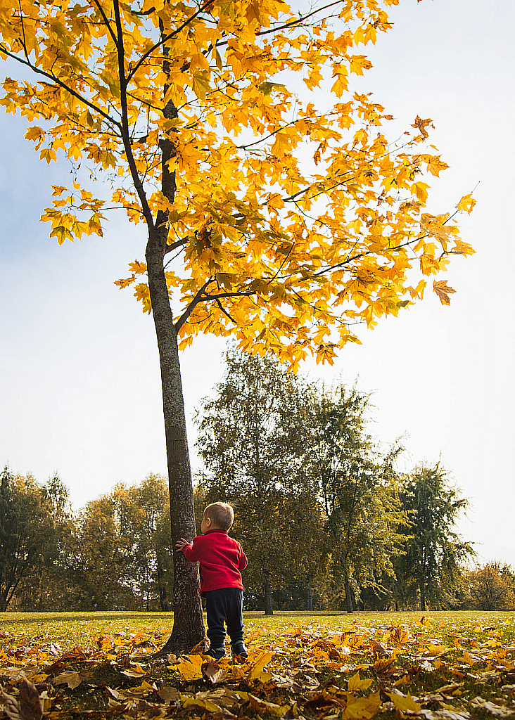 Царицыно 2020-201003_134936