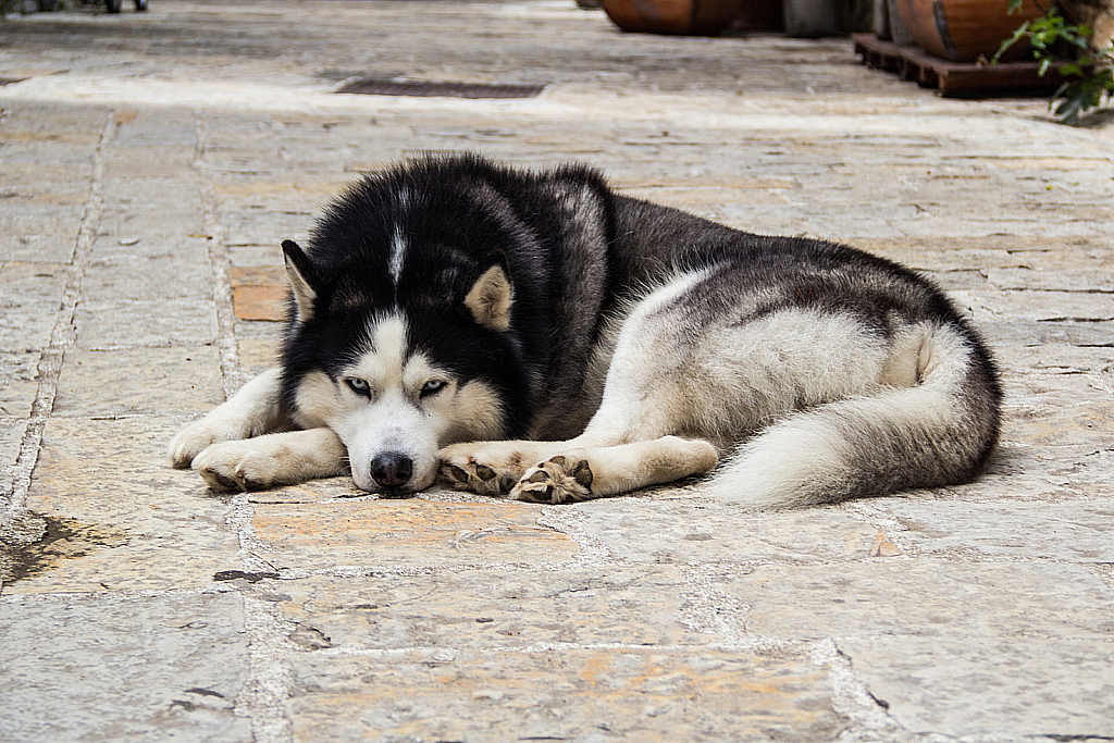 Черногория-150429_164251