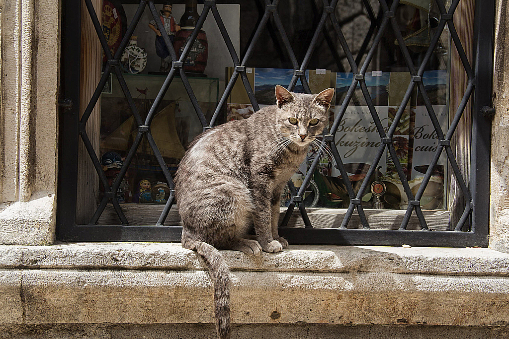 Черногория-150430_143829