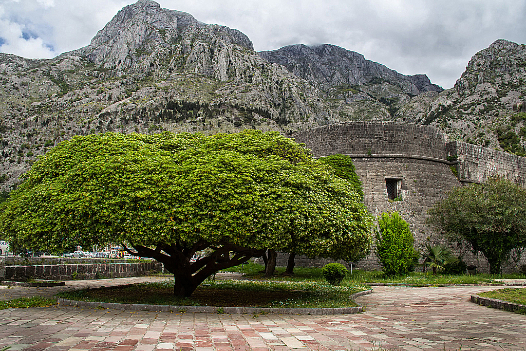 Черногория-150430_165136