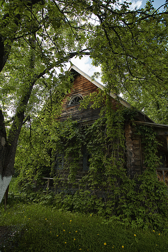 Шахматово-190526_160916