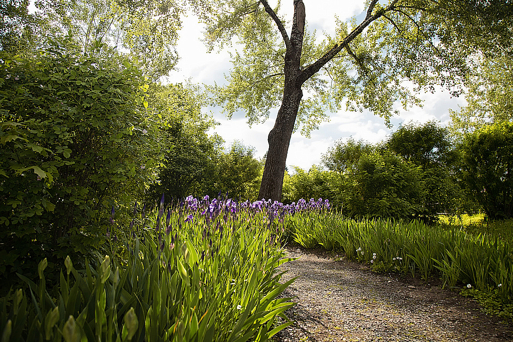 Шахматово-190526_161534