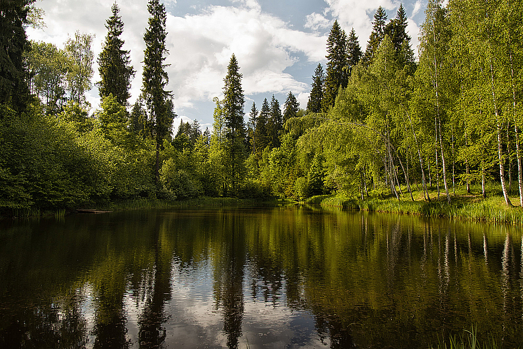 Шахматово-190526_162615
