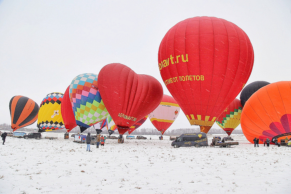 Яблоки на снегу-180113_122030
