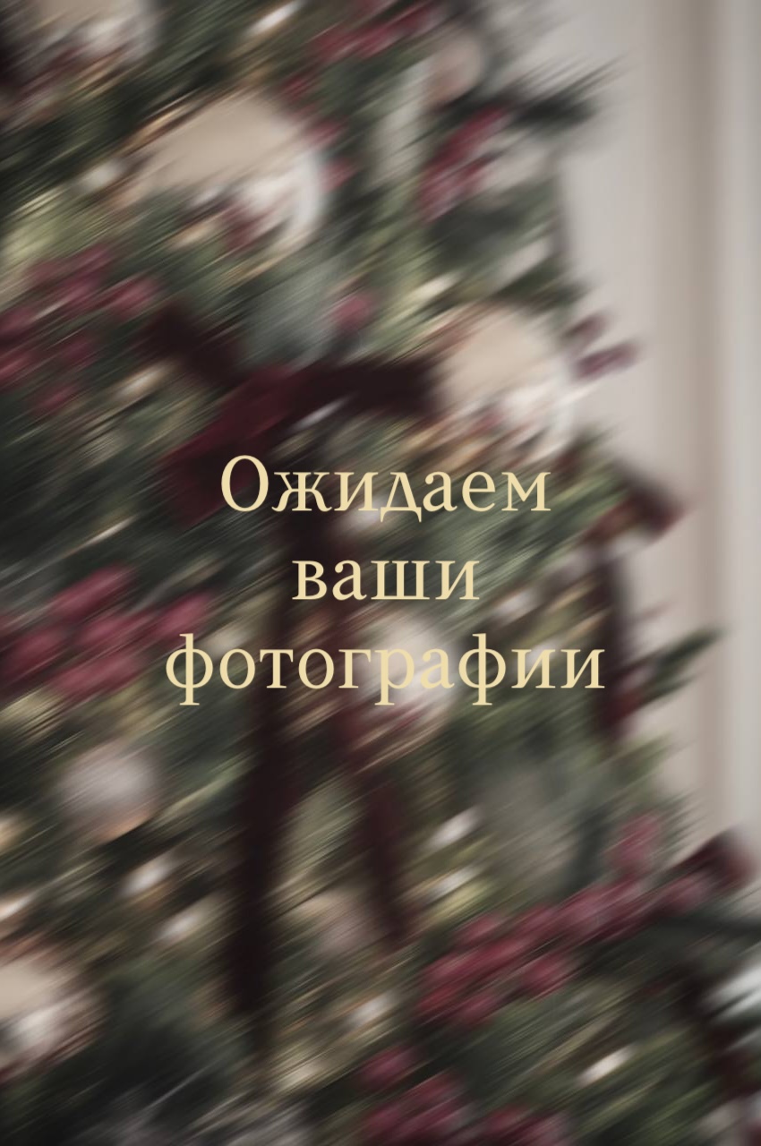 Фото покупателя «Декабрь»