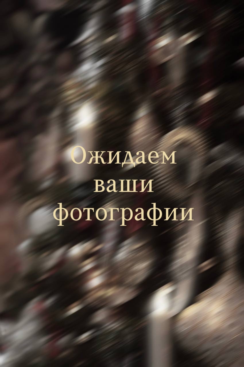 Фото покупателя «Декабрь»