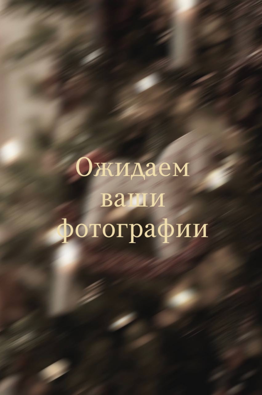 Фото покупателя «Декабрь»