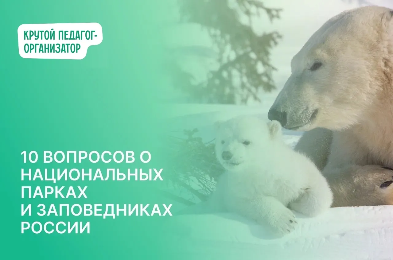 Викторина «10 вопросов о национальных парках и заповедниках России» ко Дню национальных парков и заповедников