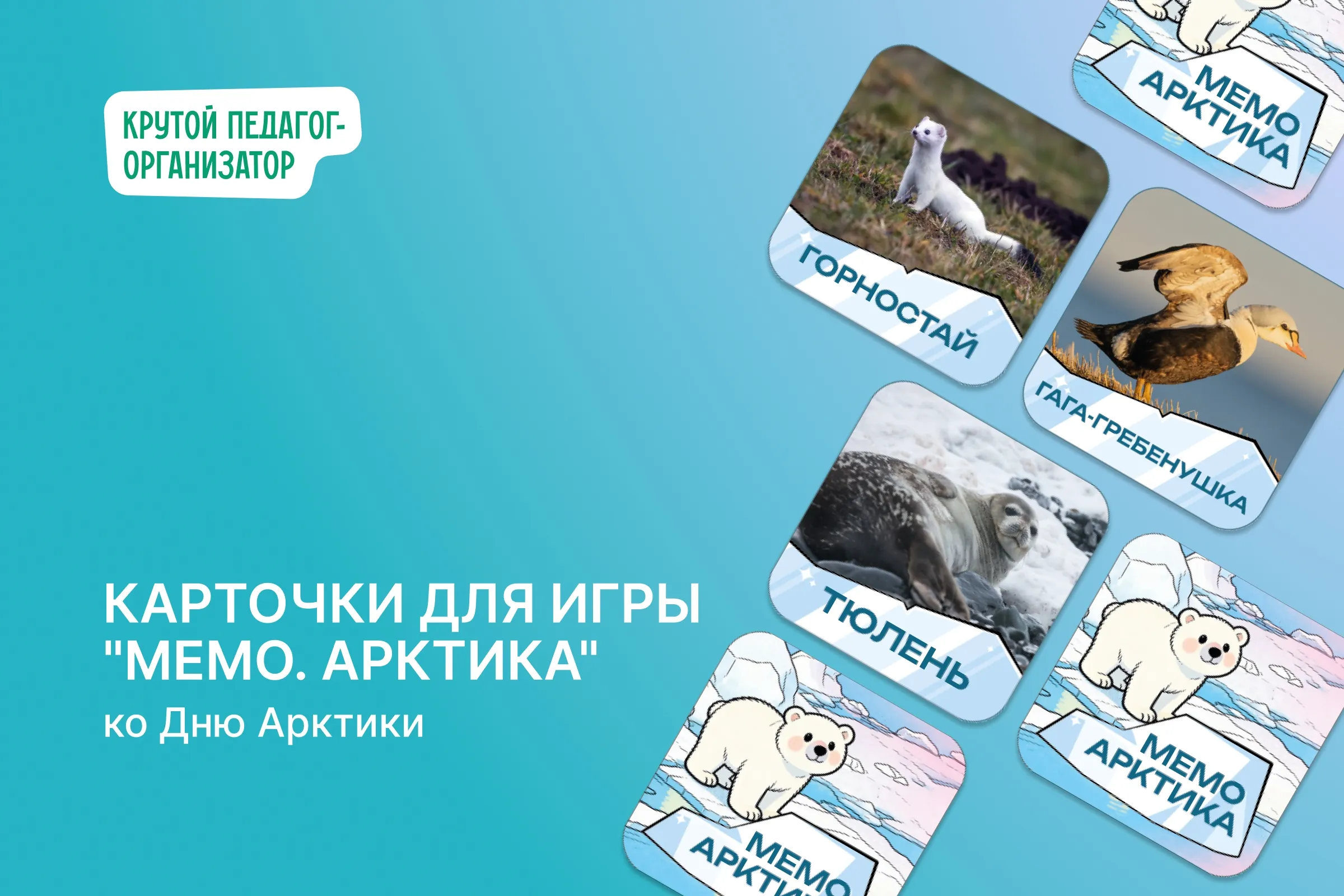 Настольная игра «Мемо. Арктика» ко Дню Арктики