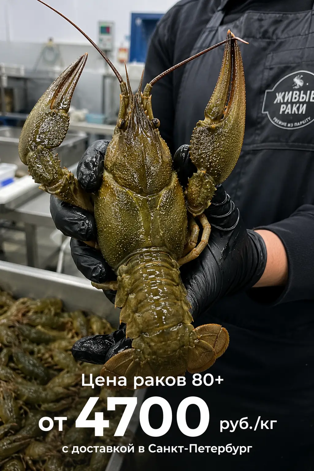 Цена раков 80+ — от 4700 руб./кг с доставкой в Санкт-Петербург — фото 1 из 1
