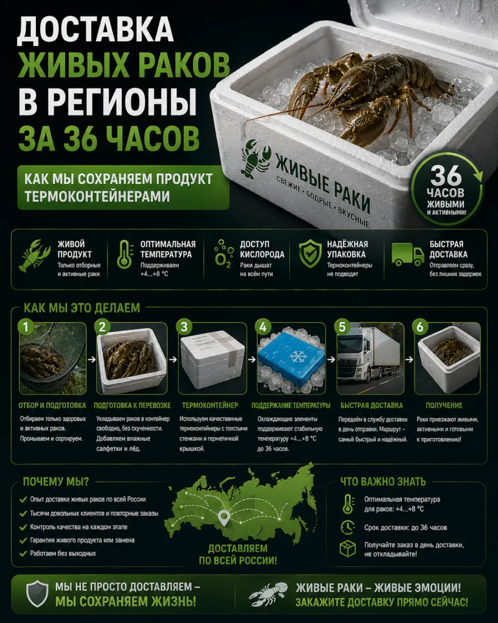 Доставка живых раков в регионы за 36 часов — как мы сохраняем продукт термоконтейнерами — фото 1 из 1