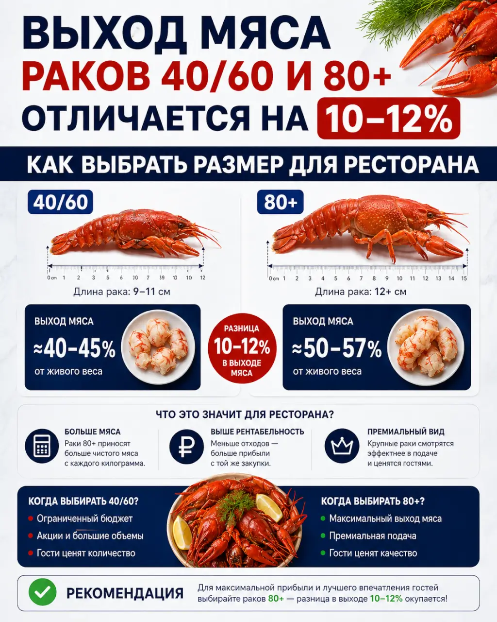 Выход мяса раков 40/60 и 80+ отличается на 10–12% — как выбрать размер для ресторана — фото 1 из 1