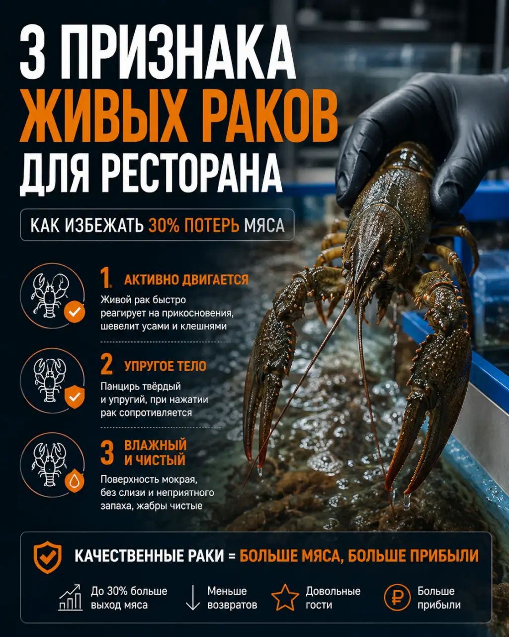 3 признака живых раков для ресторана — как избежать 30% потерь мяса — фото 1 из 1