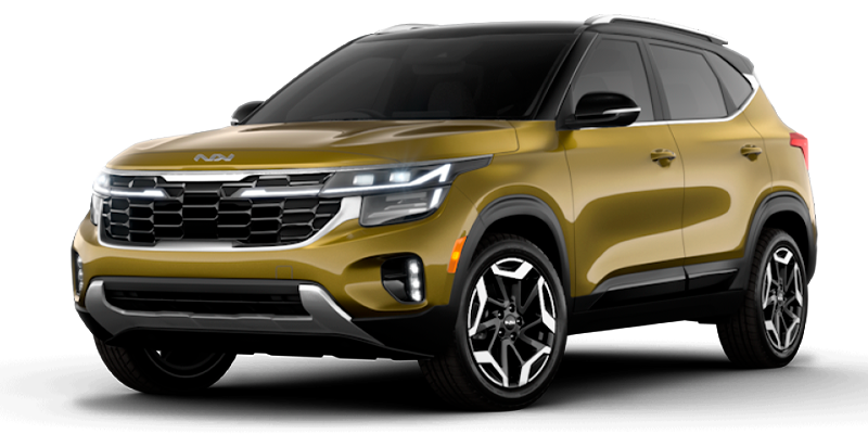 Баннер Kia New Seltos