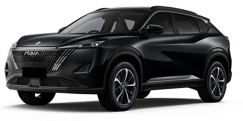 Баннер Dongfeng Mage