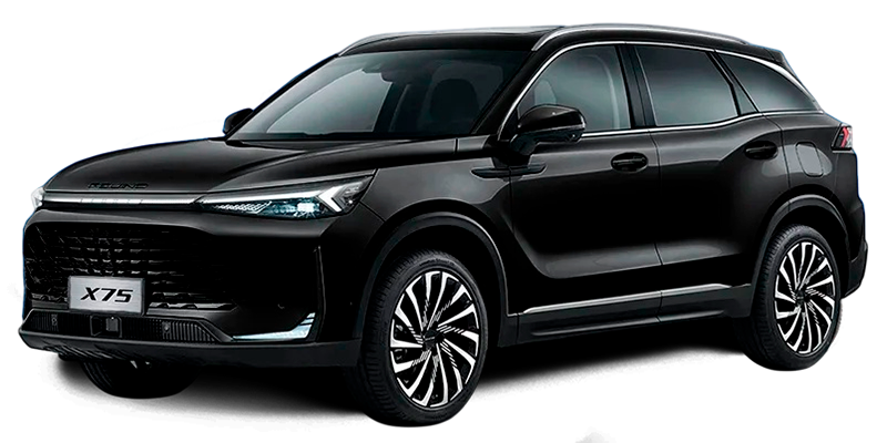 Баннер BAIC X75