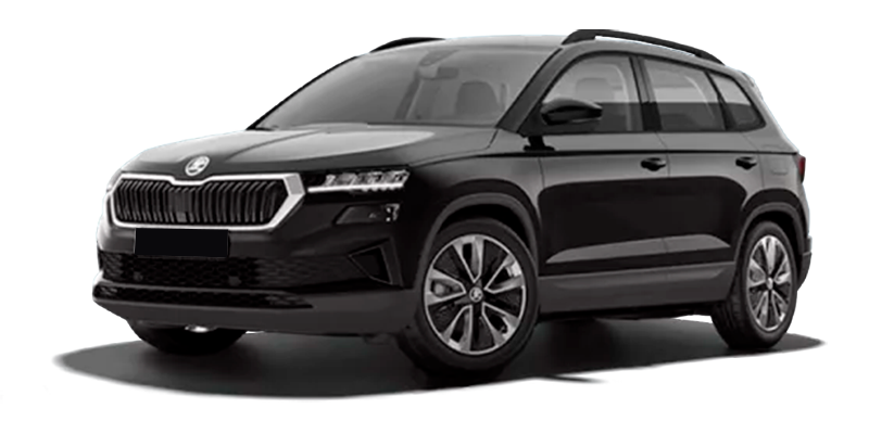 Баннер Skoda Karoq New