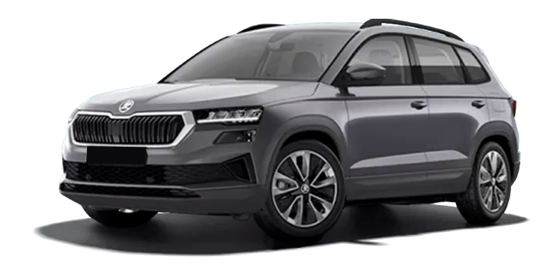 Баннер Skoda Karoq New