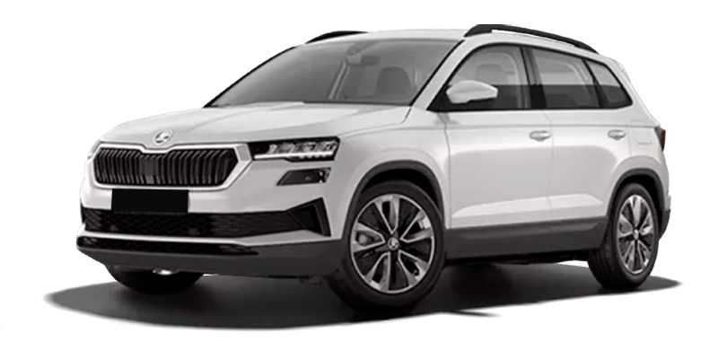 Баннер Skoda Karoq New