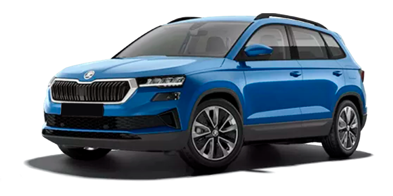 Баннер Skoda Karoq New