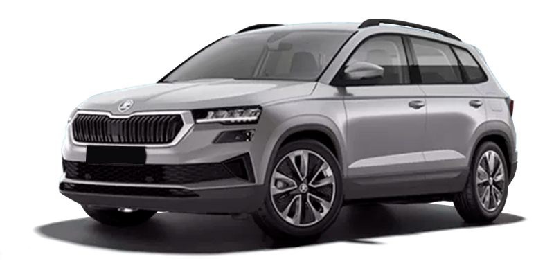 Баннер Skoda Karoq New